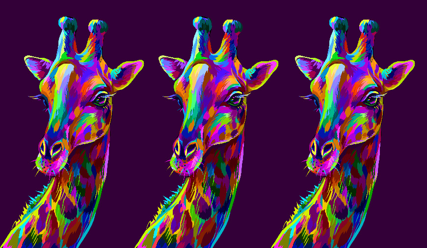3 girafes CNV