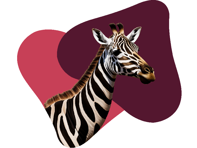 Girafe-zebre-Dieresys
